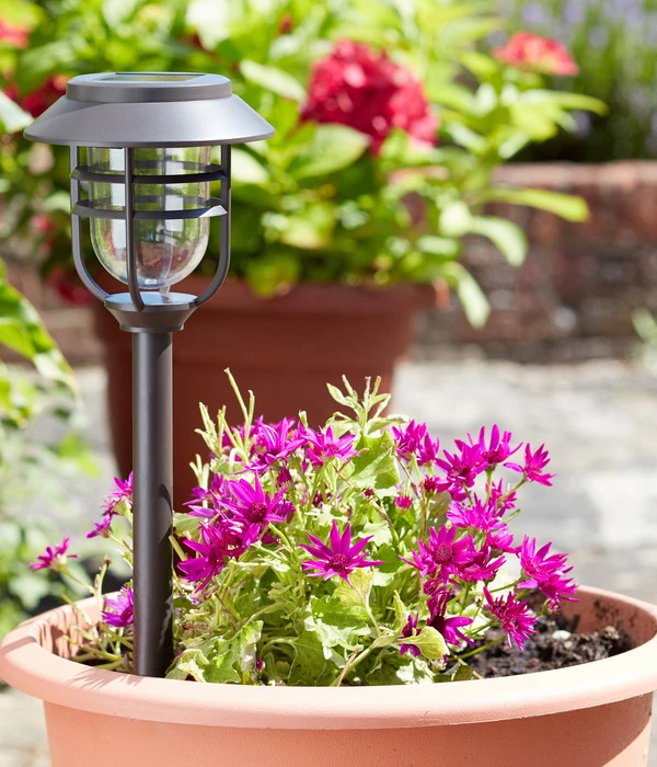 Smart Garden Solar-Pfahlleuchte Avant 5er-Set, Ca. B13,2/H43/T13,2 Cm – Bild 3